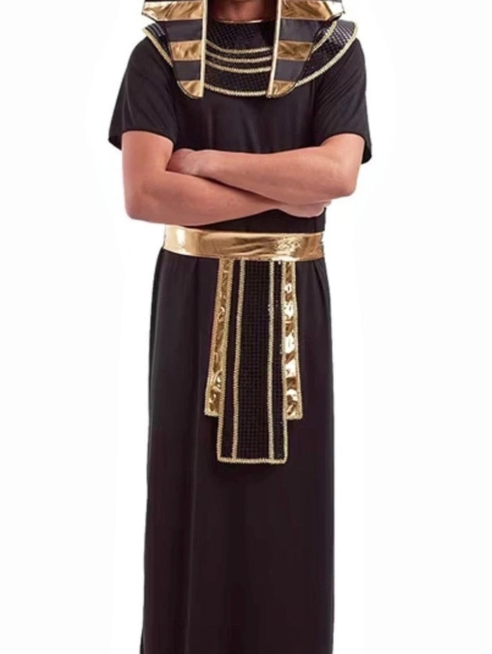Boo! Inc. Egyptian Pharaoh Men's Costume. Black & Gold Large